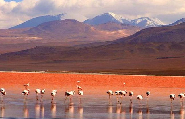 Día completo en el Salar de Uyuni - Foto 2